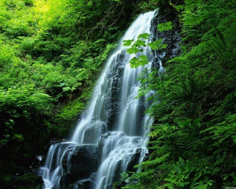 《卓别林与希特勒:光与影的缠斗》 | 每日一书