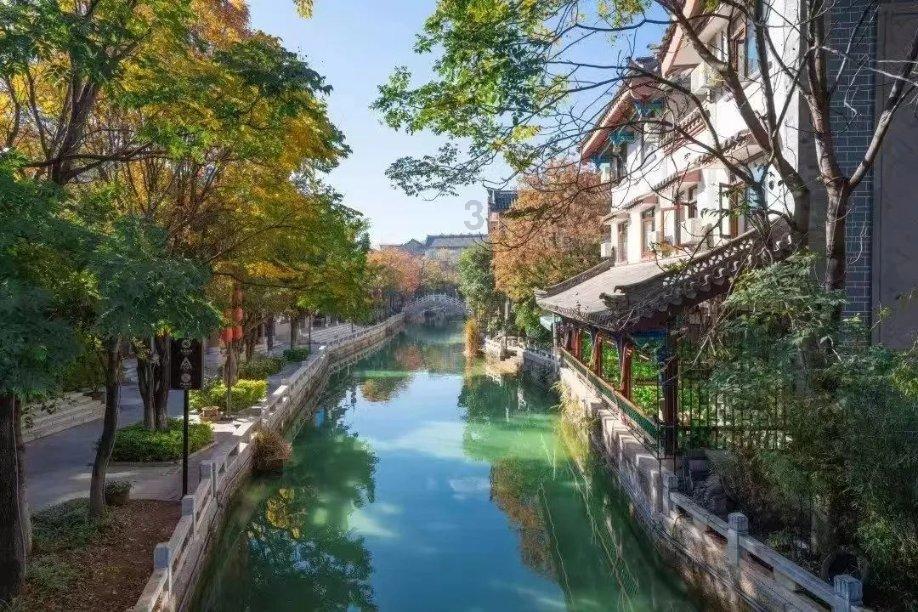 拯救红松鼠